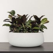 Gran Canaria Table Bowl gallery detail image