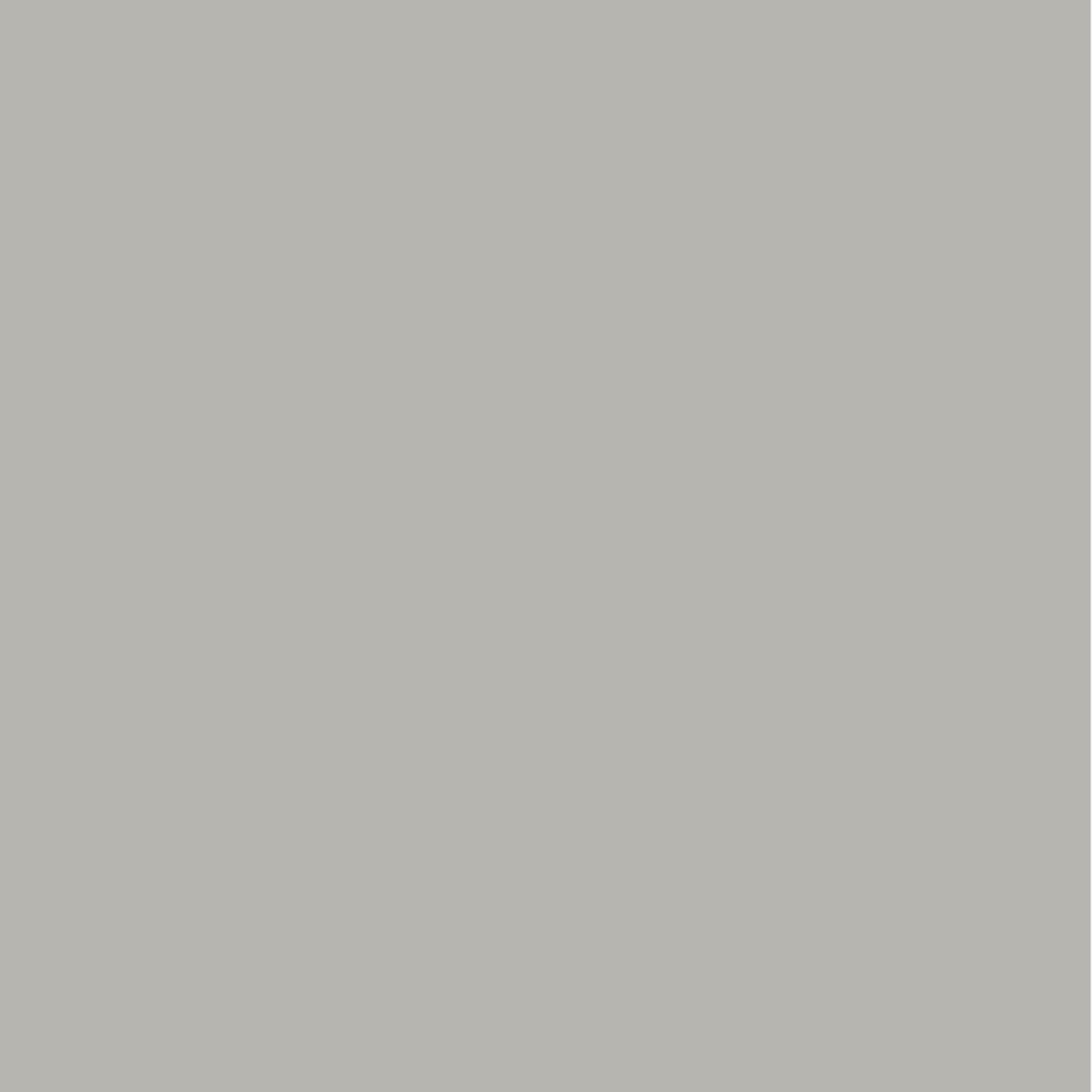 Chroma Grau Matt gallery detail image