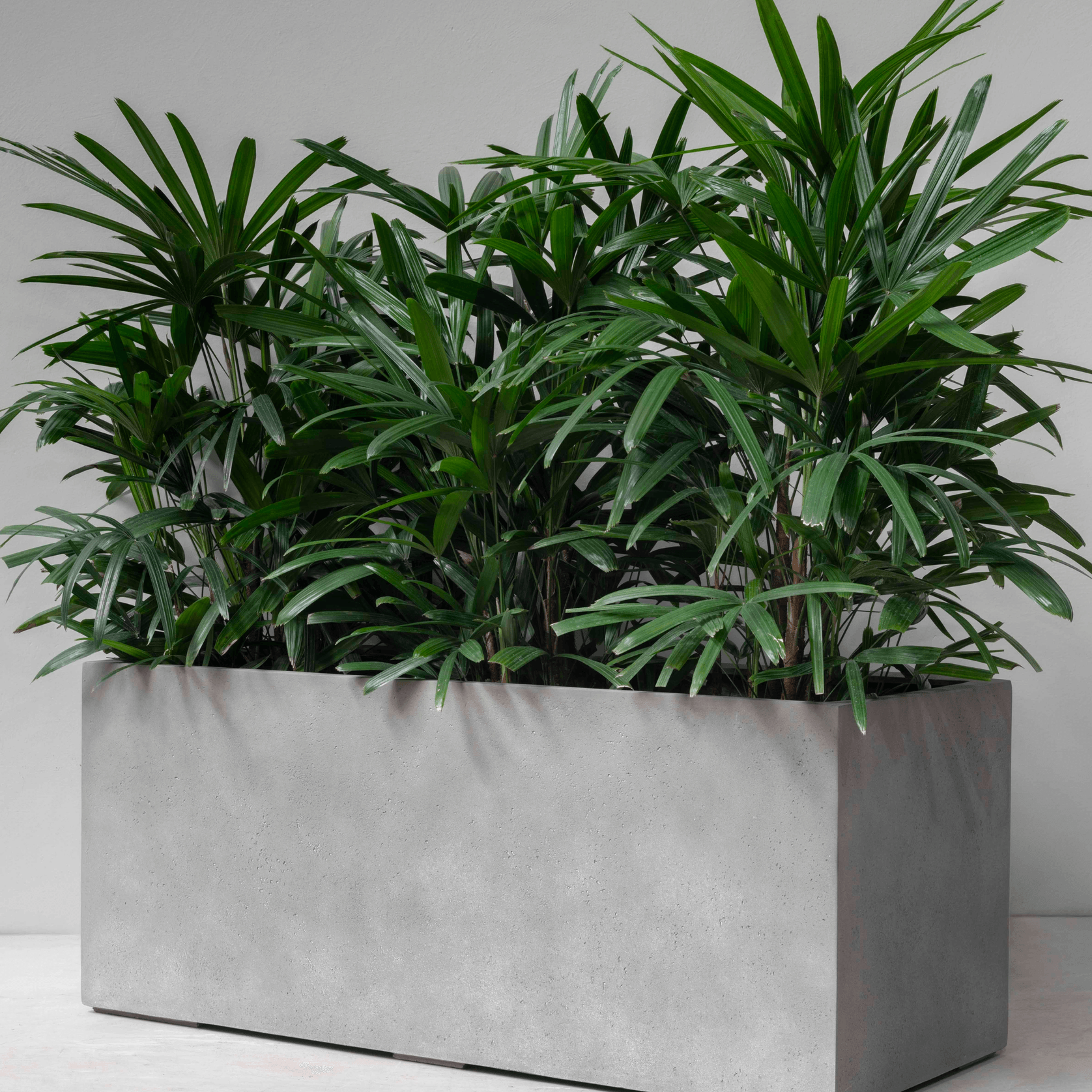 Duralite Trough gallery detail image