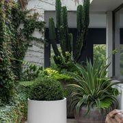 Air Bullet gallery detail image