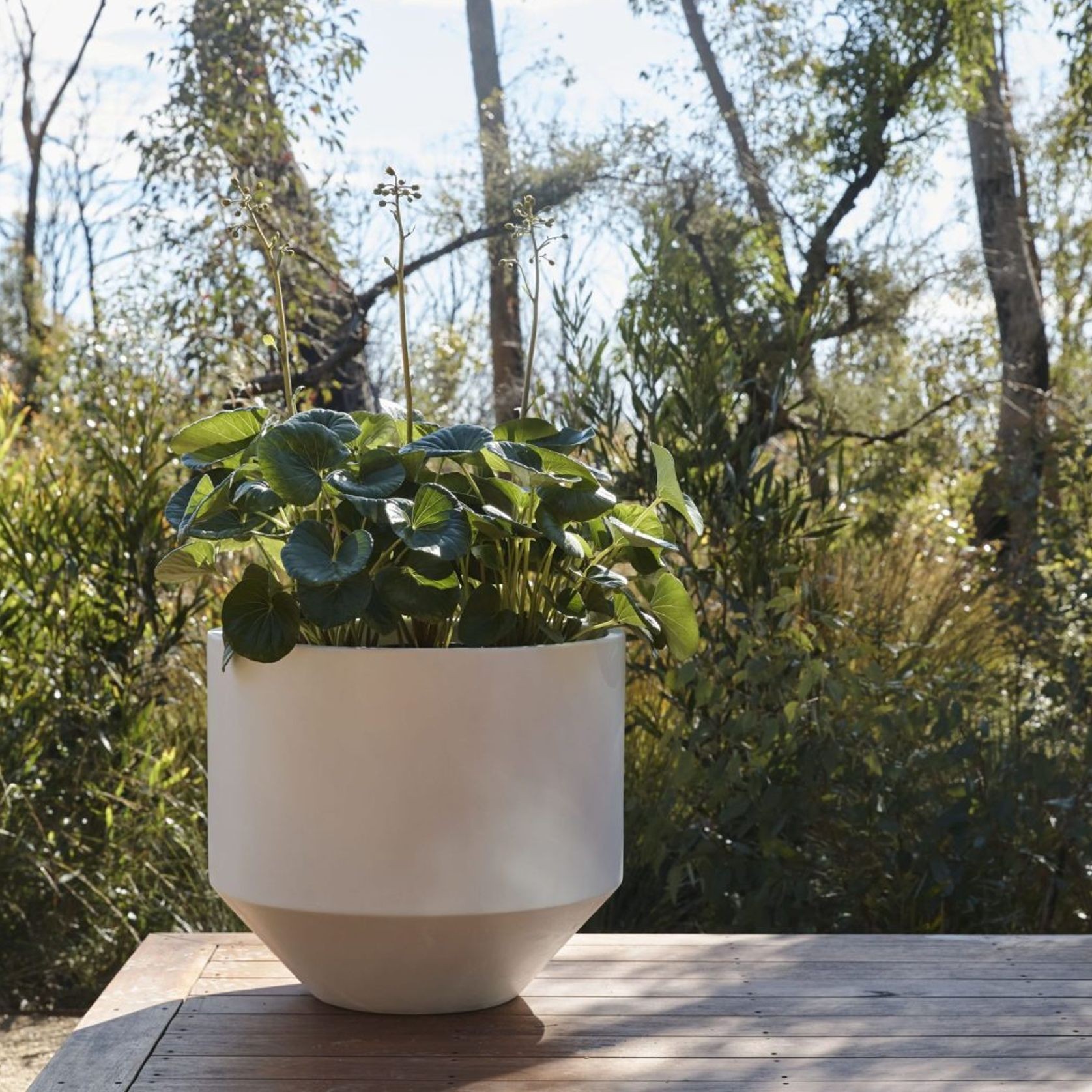 Air Furore gallery detail image