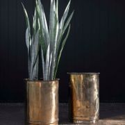 Antique Brass Tall Planter gallery detail image