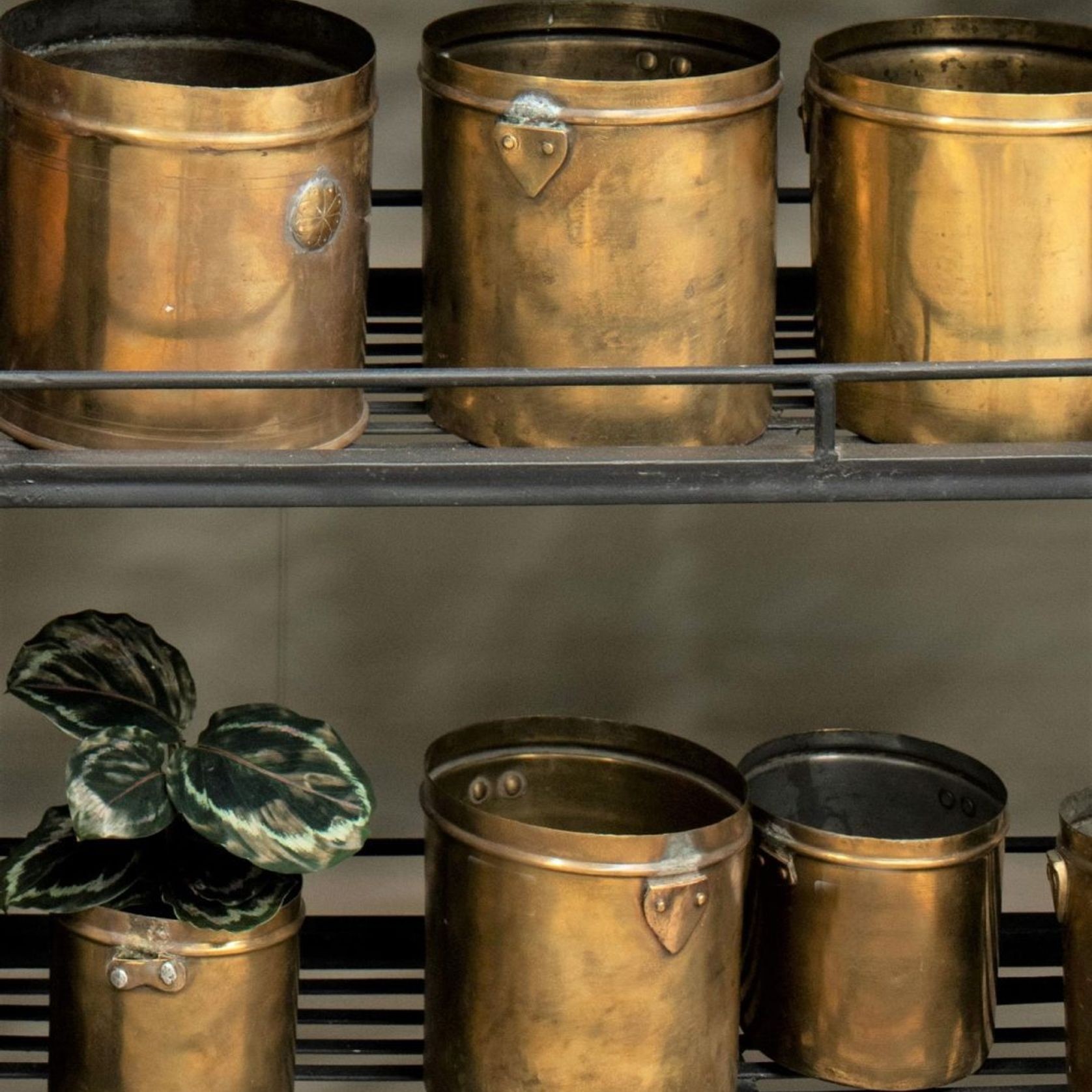 Antique Brass Planter gallery detail image