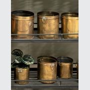 Antique Brass Planter gallery detail image