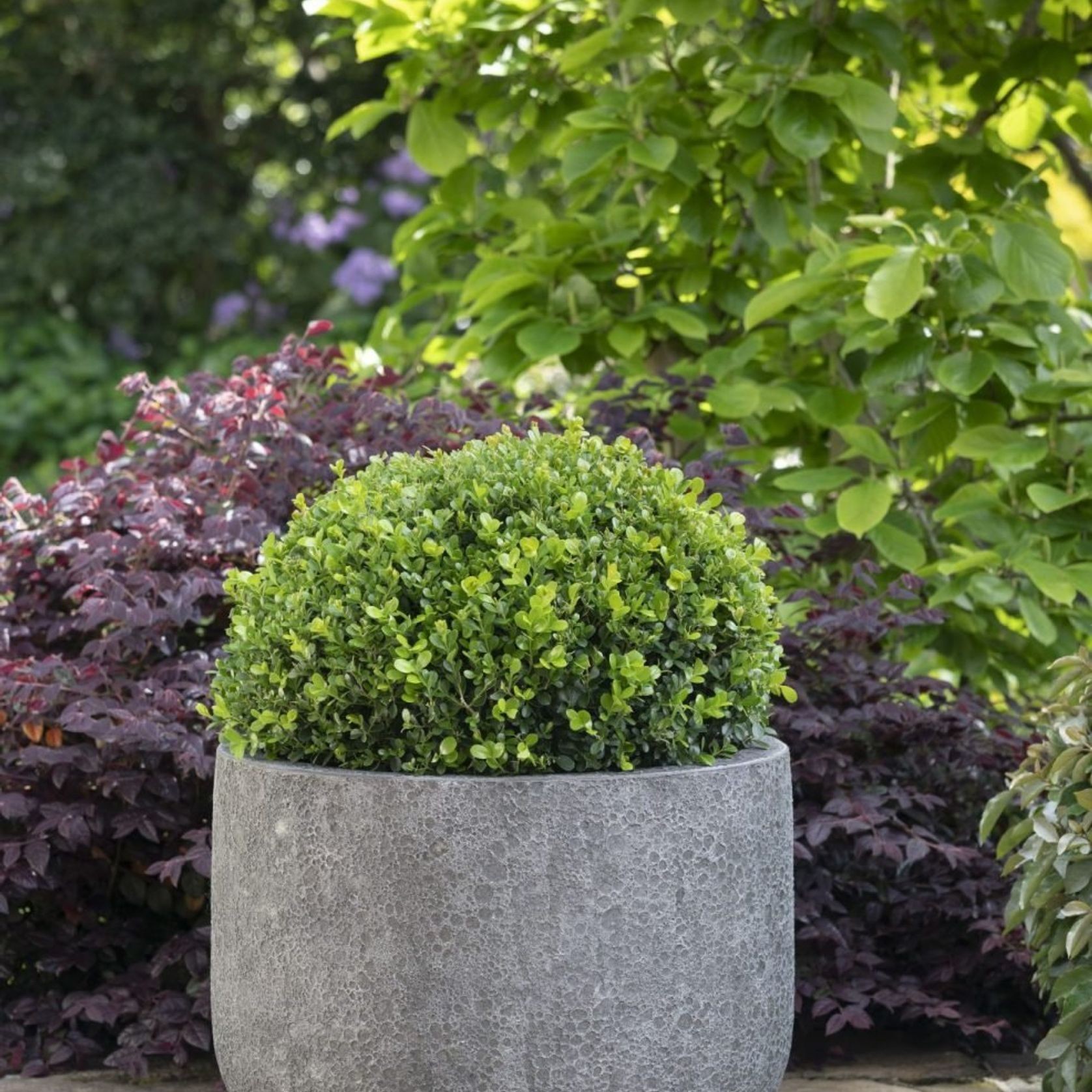 Lava Deep Bowl gallery detail image