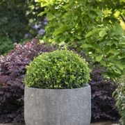 Lava Deep Bowl gallery detail image