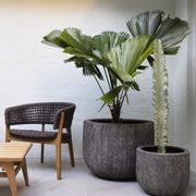 Lava Deep Bowl gallery detail image