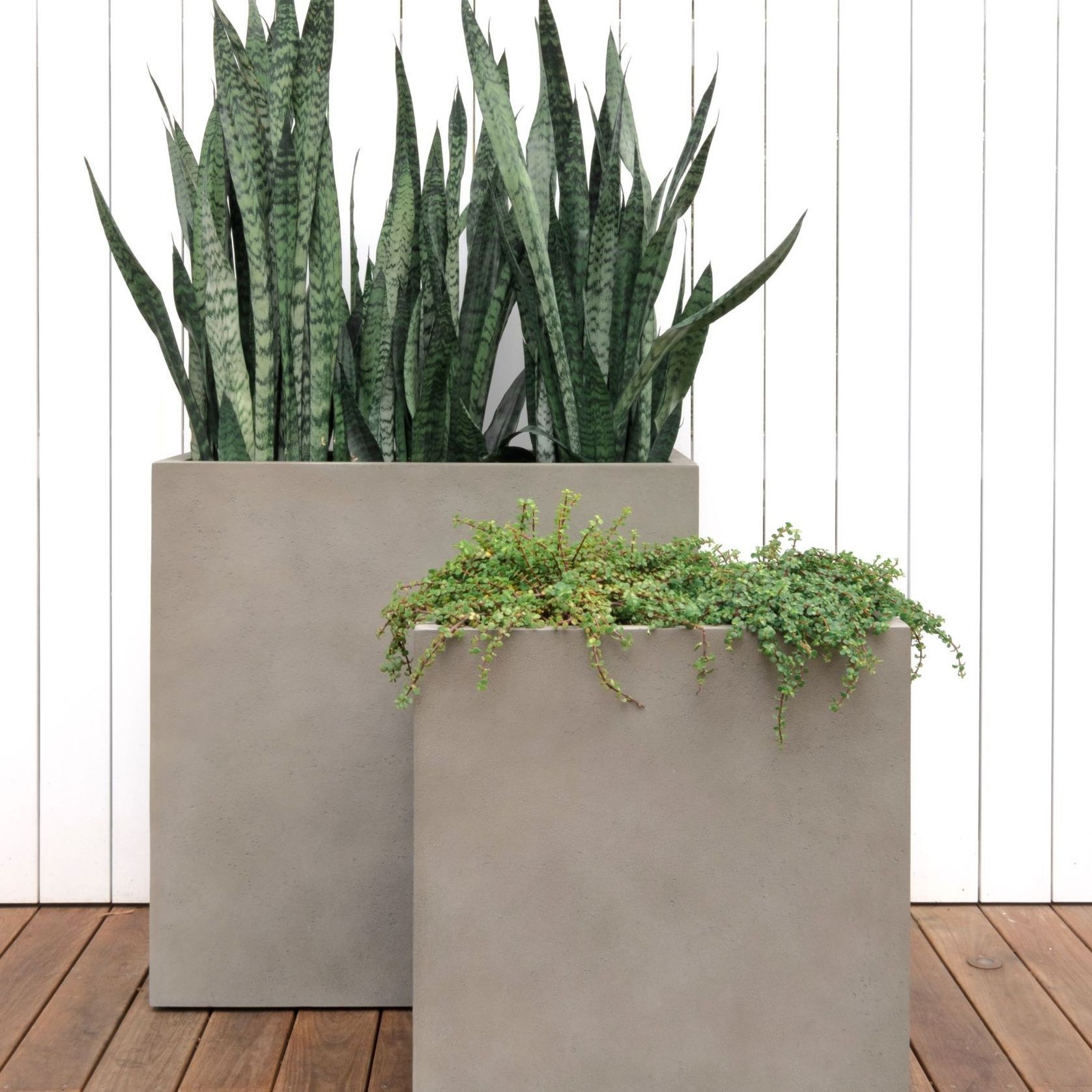 Duralite Tall Trough gallery detail image