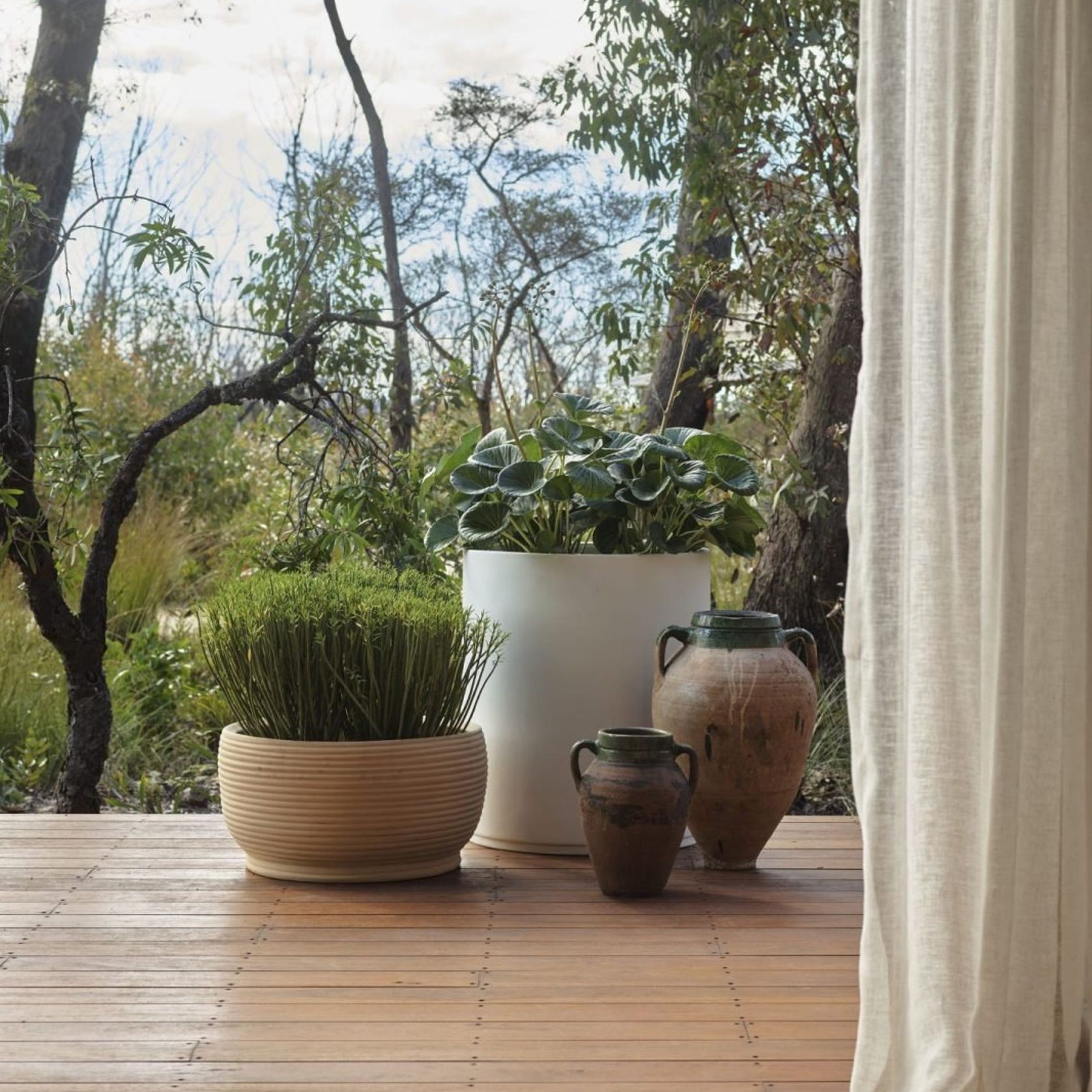 Handthrown Terracotta Coil Low gallery detail image