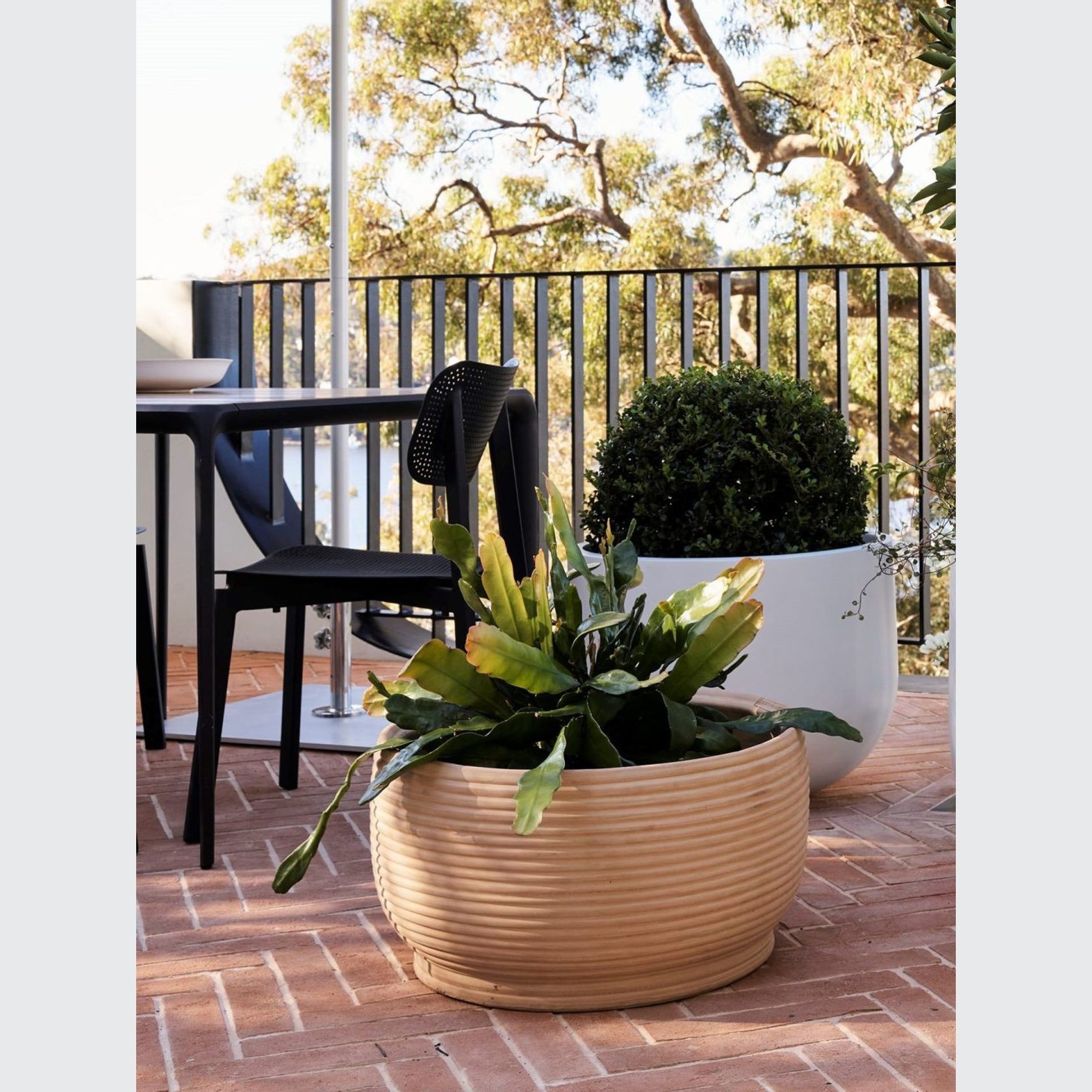 Handthrown Terracotta Coil Low gallery detail image