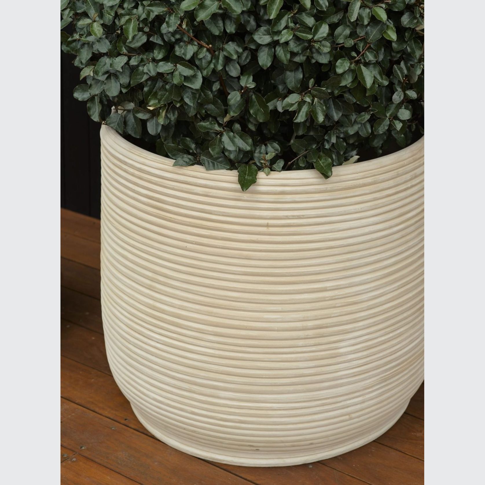 Handthrown Terracotta Coil gallery detail image