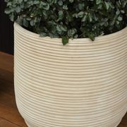 Handthrown Terracotta Coil gallery detail image