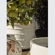 Turkish Dagar gallery detail image