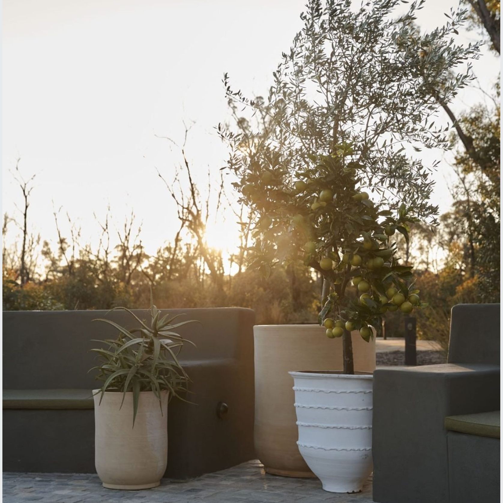 Turkish Dagar gallery detail image