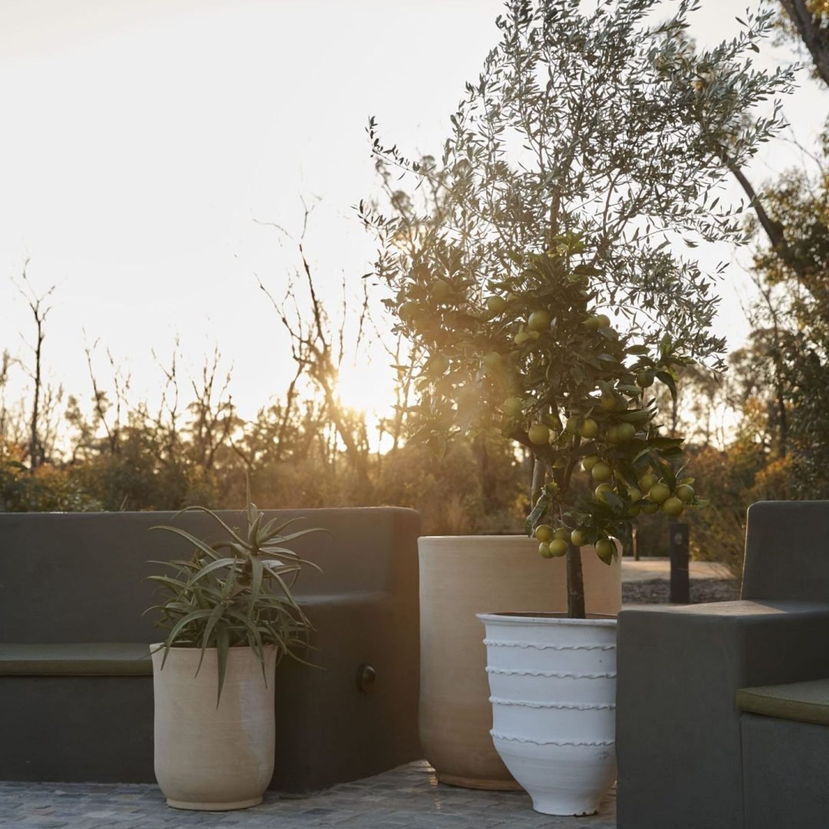 Turkish Dagar gallery detail image