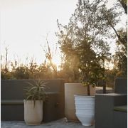 Turkish Dagar gallery detail image