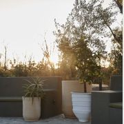 Turkish Dagar gallery detail image