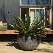 Woodfired Deep Bowl gallery detail image