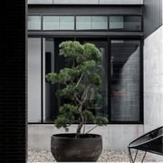 Woodfired Deep Bowl gallery detail image