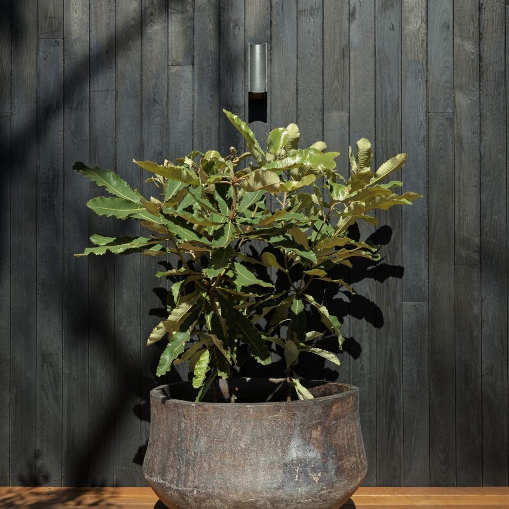 Woodfired Drum gallery detail image