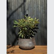 Woodfired Drum gallery detail image