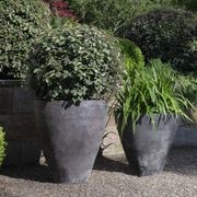 Woodfired Sancha gallery detail image