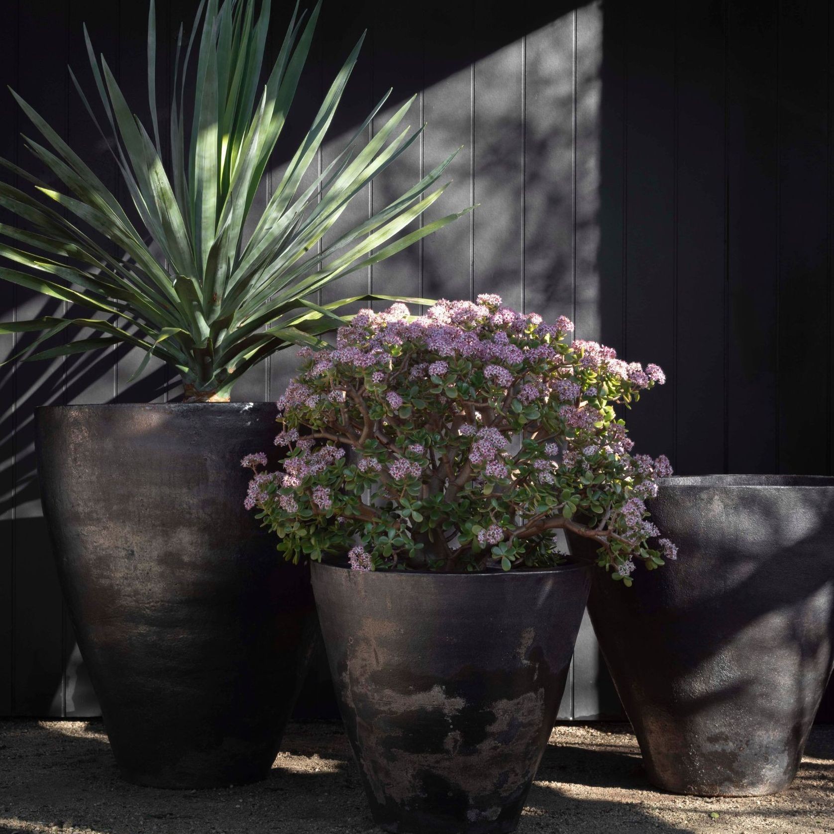 Woodfired Sancha gallery detail image