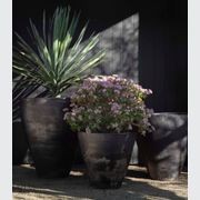 Woodfired Sancha gallery detail image