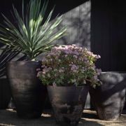 Woodfired Sancha gallery detail image