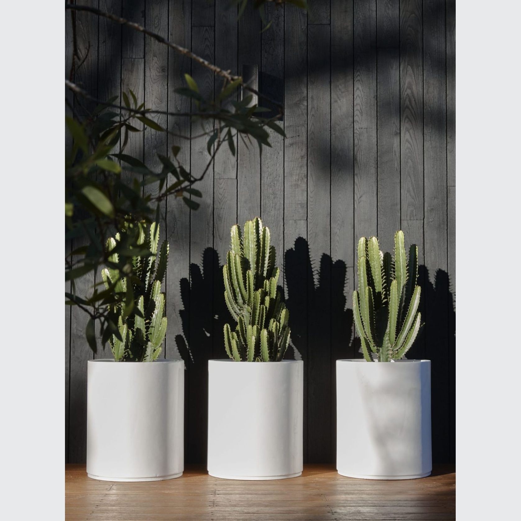 Air Praia gallery detail image