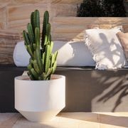 Air Furore gallery detail image