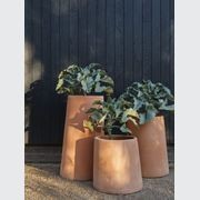 Terracotta Chimney gallery detail image