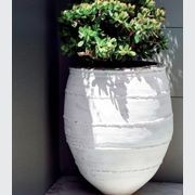 Turkish Dagar gallery detail image