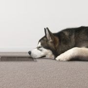Sp6 Series Gas Ducted Heating System gallery detail image