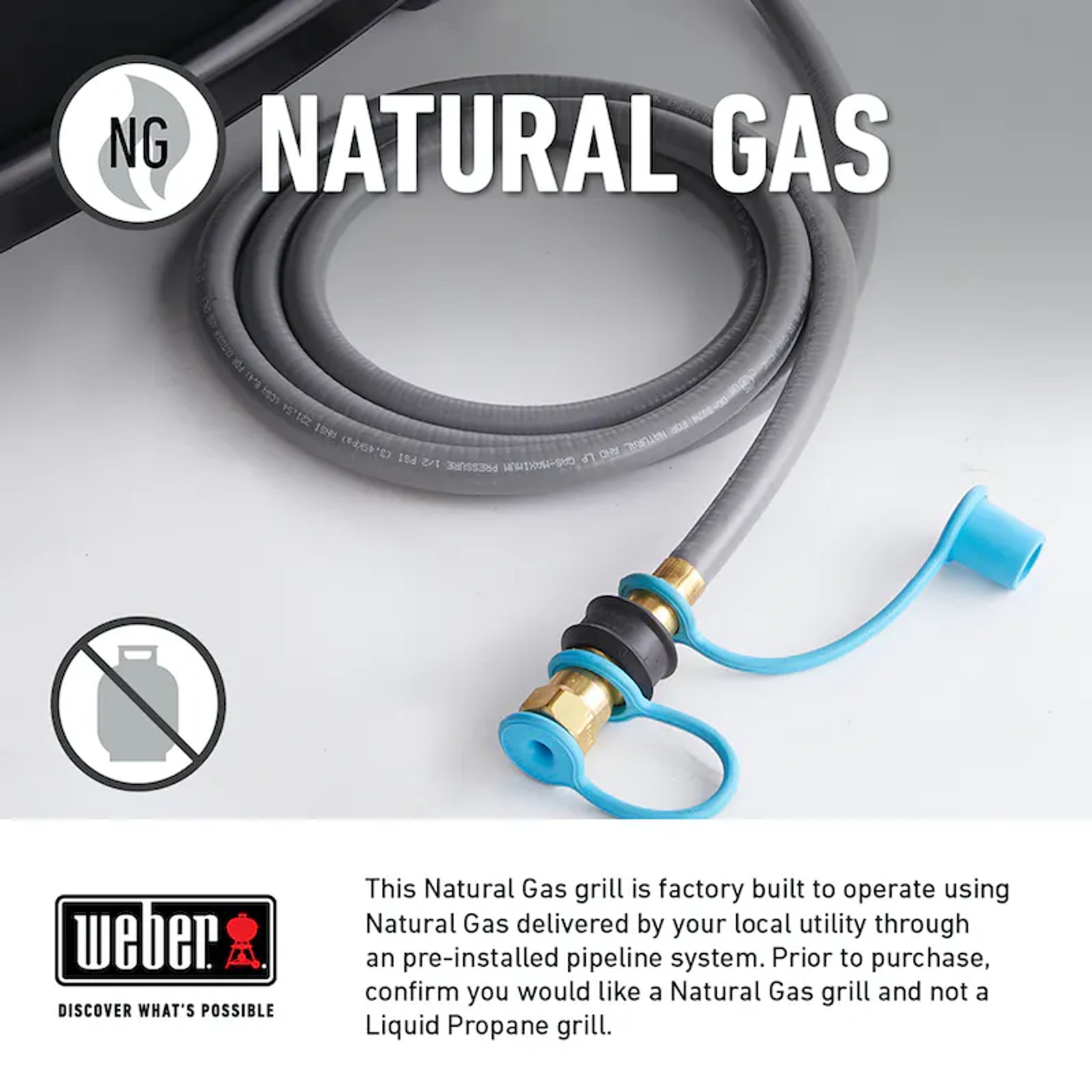 Weber Genesis Built-in E460 NG gallery detail image