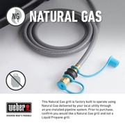 Weber Genesis Built-in E460 NG gallery detail image