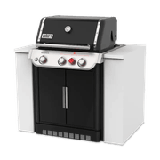 Weber Genesis Built-in E360 ULPG gallery detail image