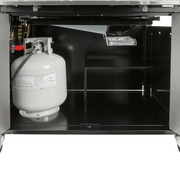 Weber Genesis Built-in E460 NG gallery detail image