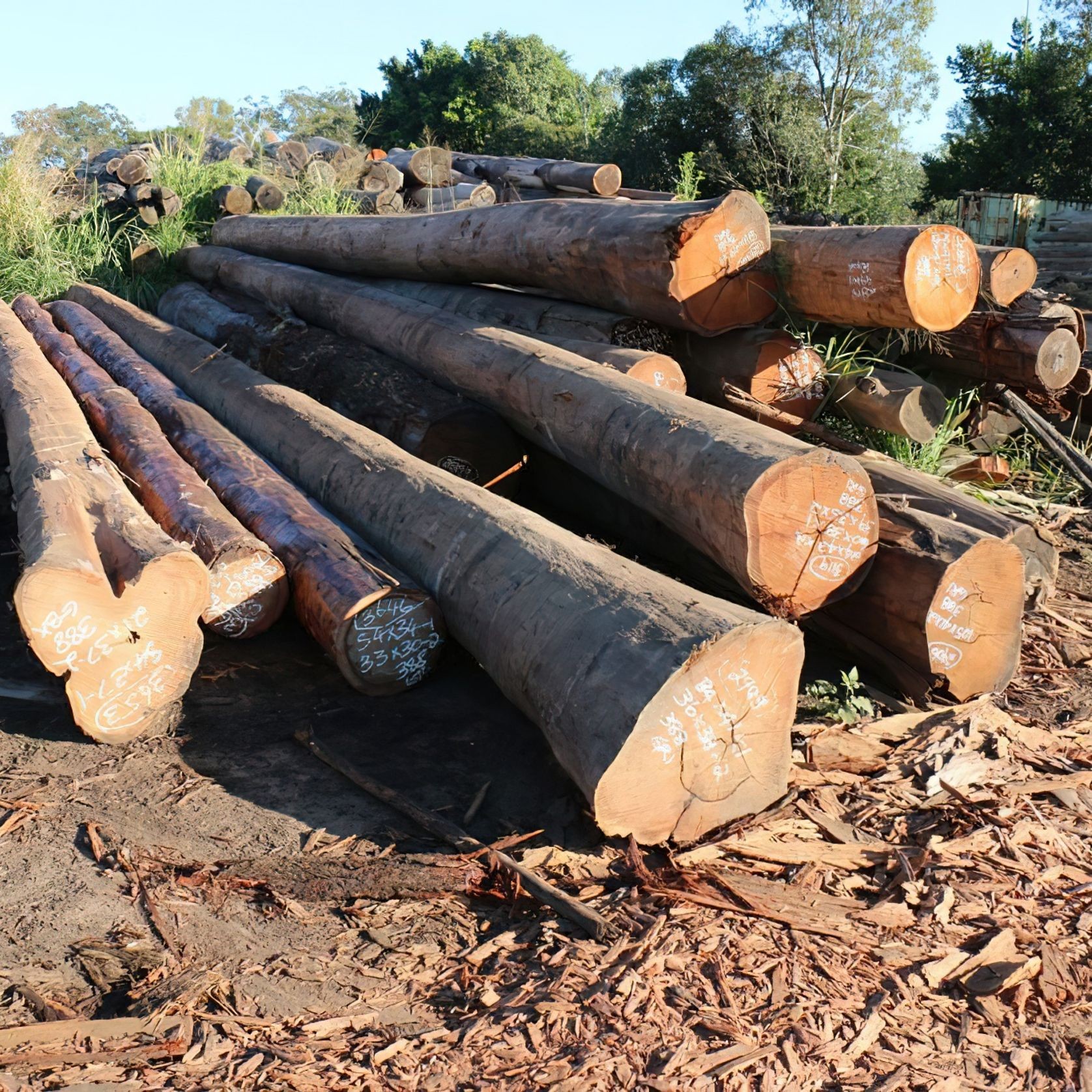 Landscaping Timbers gallery detail image