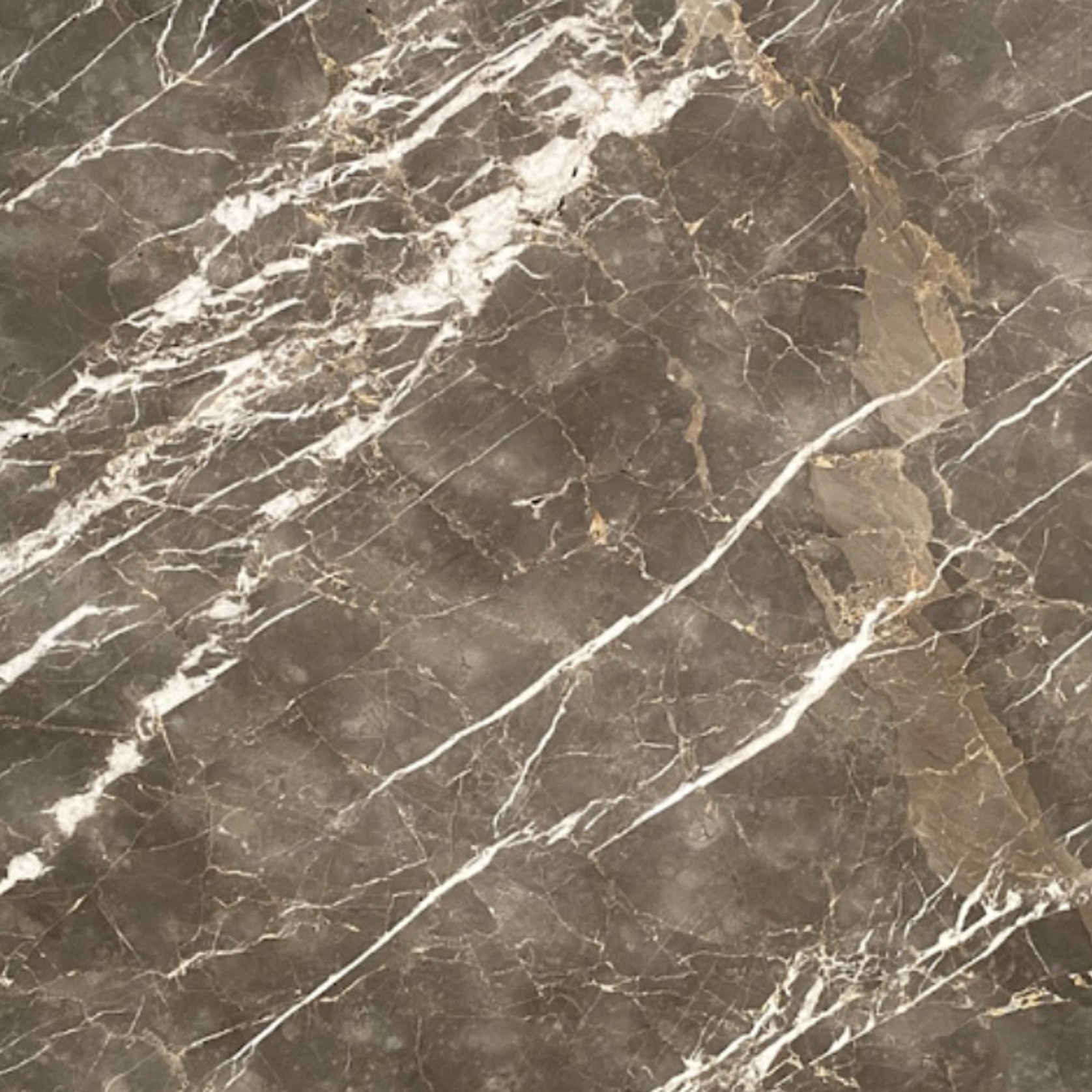 Grigio Collemandina | Marble | Honed gallery detail image