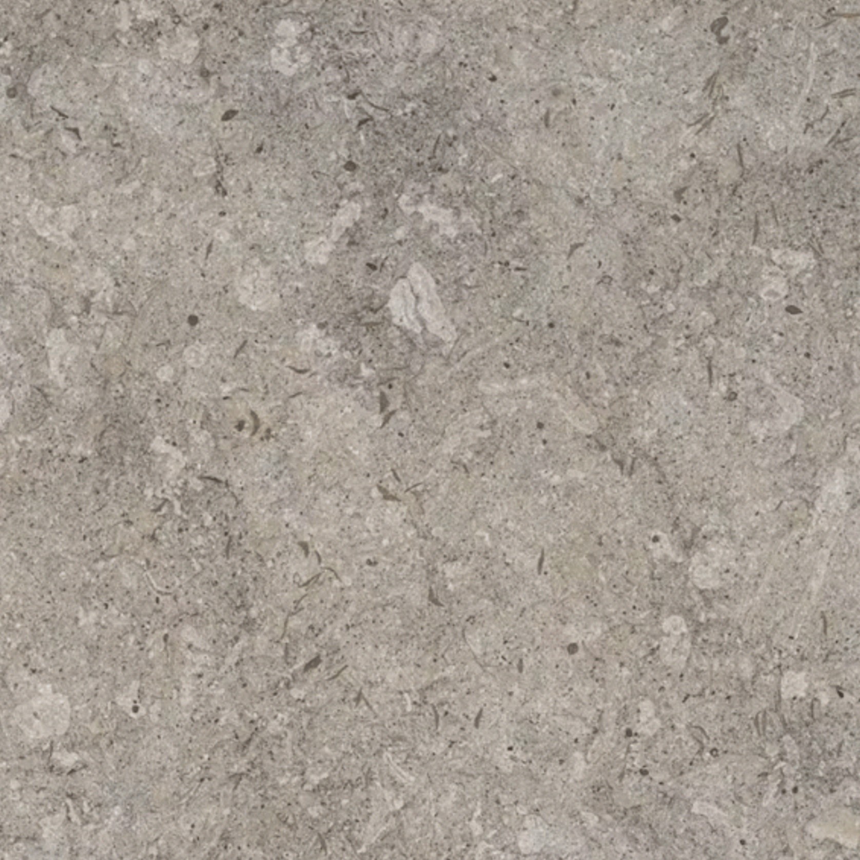 Grigio VK03 KC gallery detail image