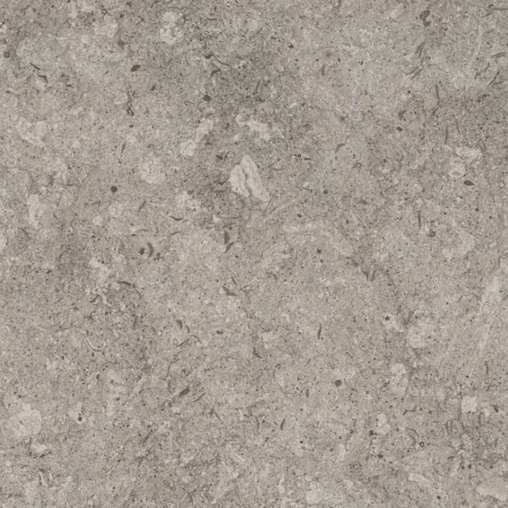 Grigio VK03 KC gallery detail image