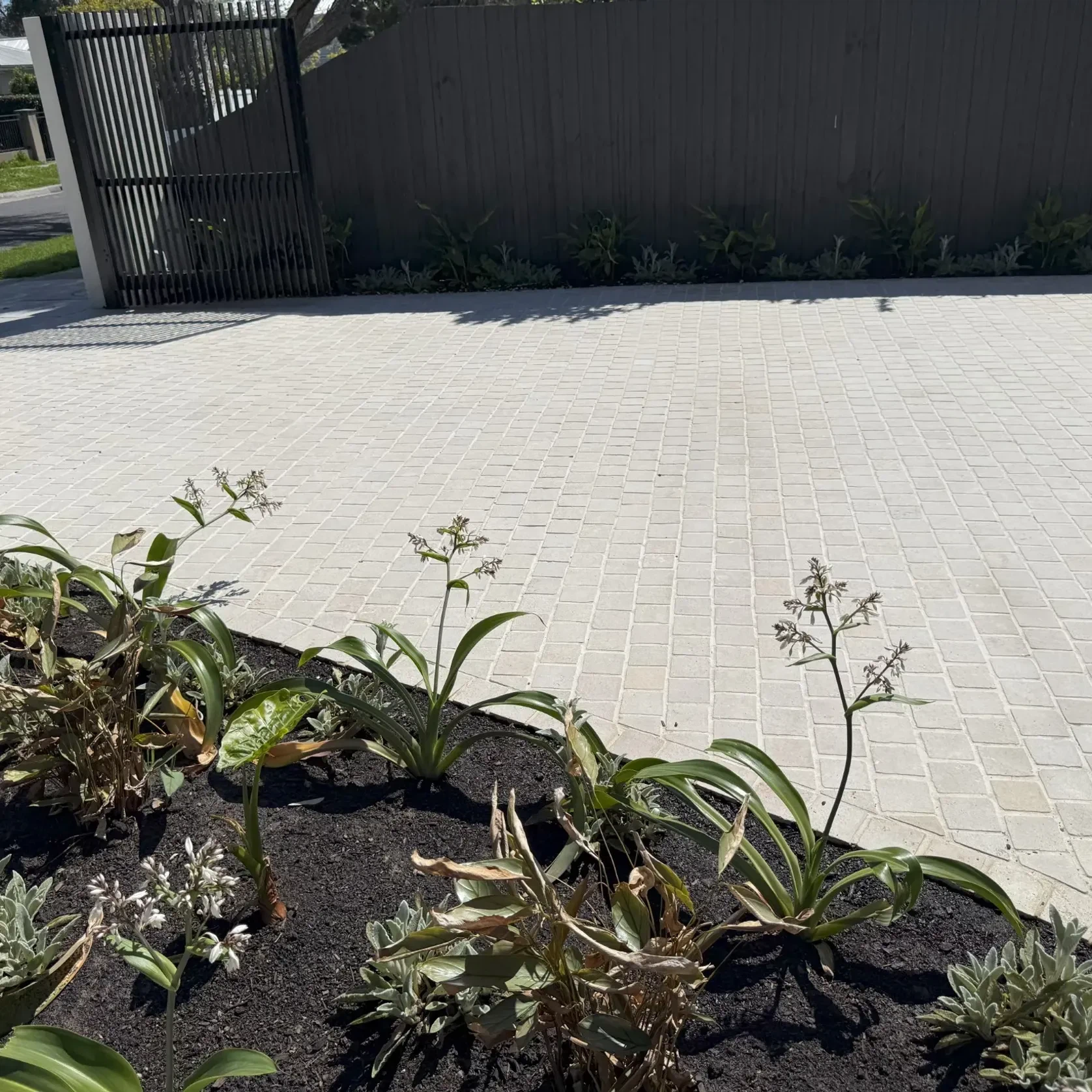 Haven Limestone Cobblestones gallery detail image