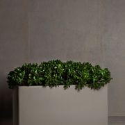 Hibernate Low Line Planters | Clay gallery detail image