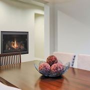 5X Balanced Flue Fireplace gallery detail image