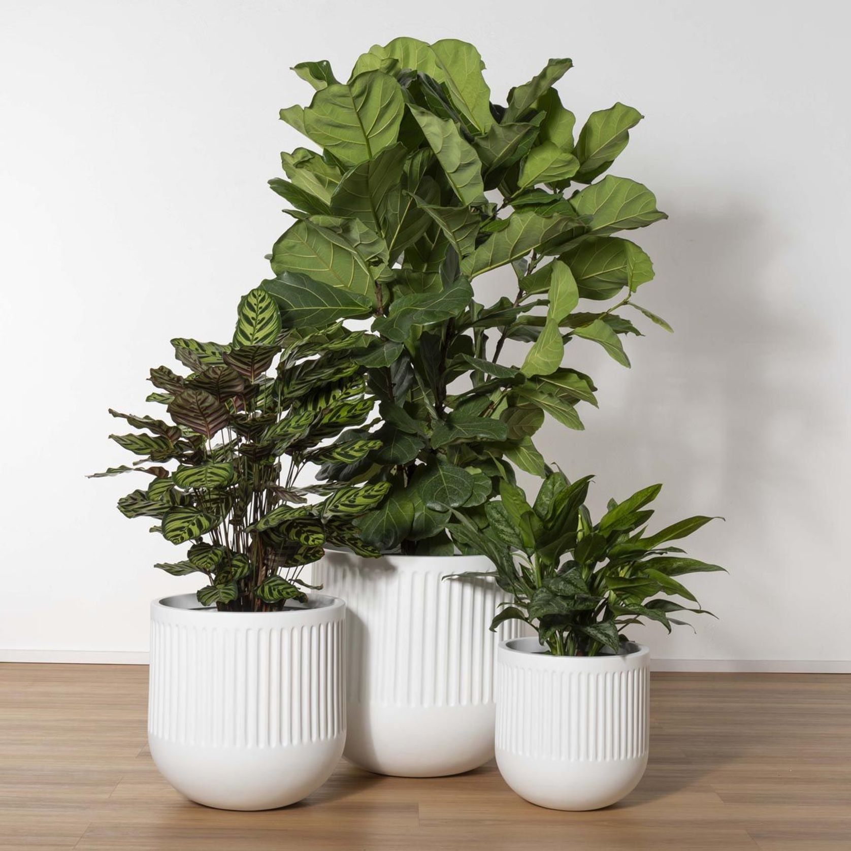 Horsens Ribbed Cup gallery detail image