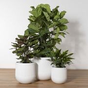 Horsens Ribbed Cup gallery detail image