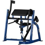 Seated Biceps gallery detail image