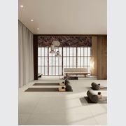 Harmony Light Grey 60x60 gallery detail image