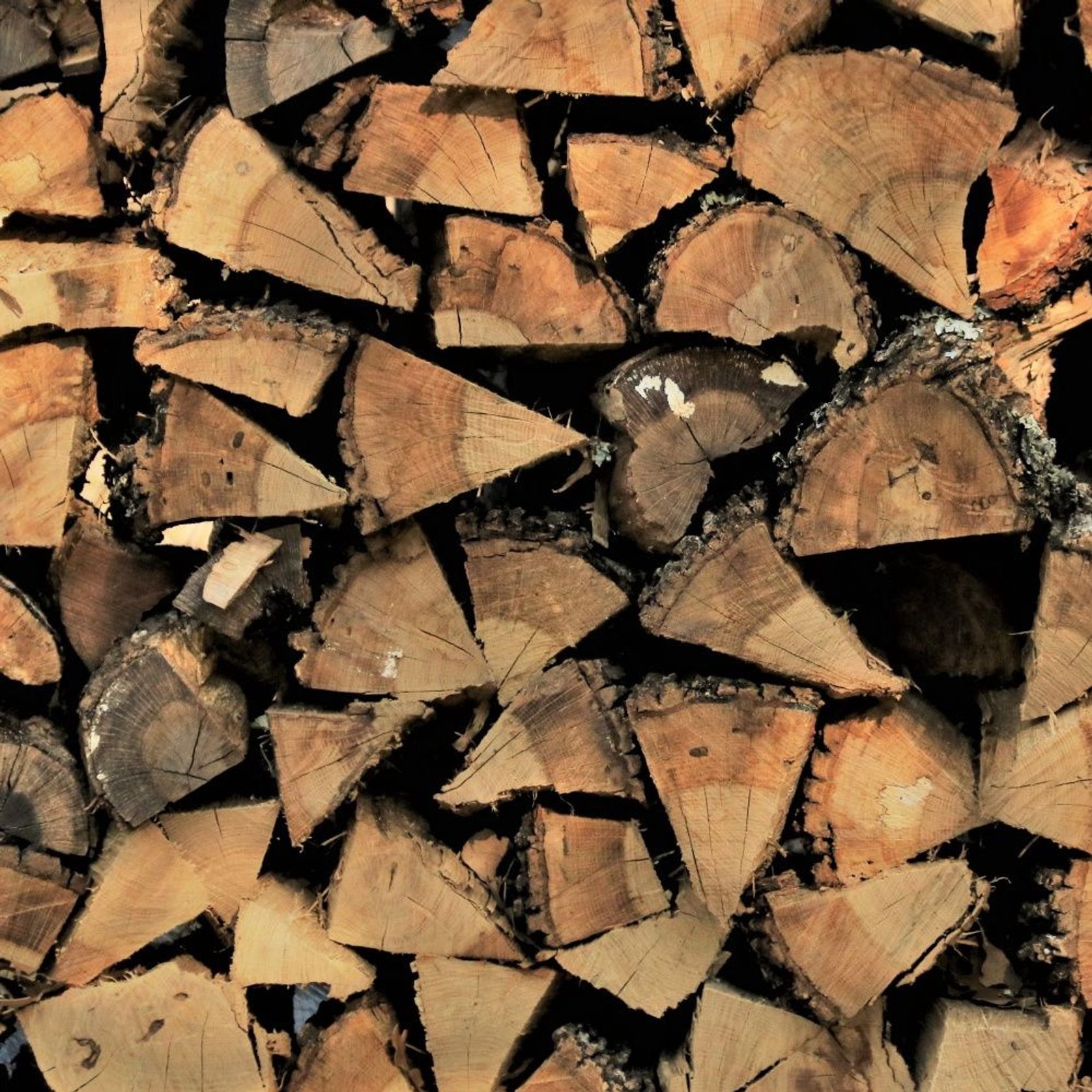 Haus Collective Firewood gallery detail image